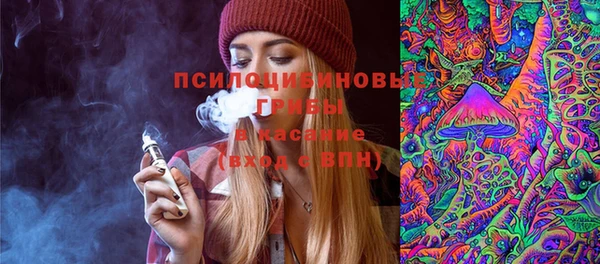 мяу мяу мука Майский