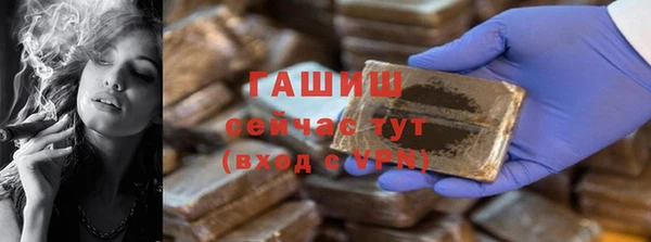 мдпв Магас