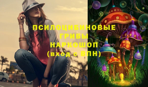 молекула духа Усинск