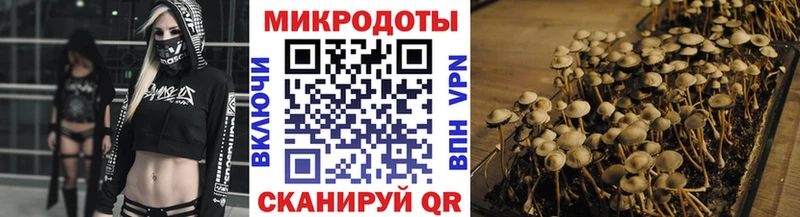 нарко площадка состав Дмитриев Псилоцибиновые грибы MAGIC MUSHROOMS